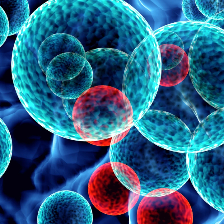 Connecting the best of Health&Care for every provider, for every patient, for everyone.