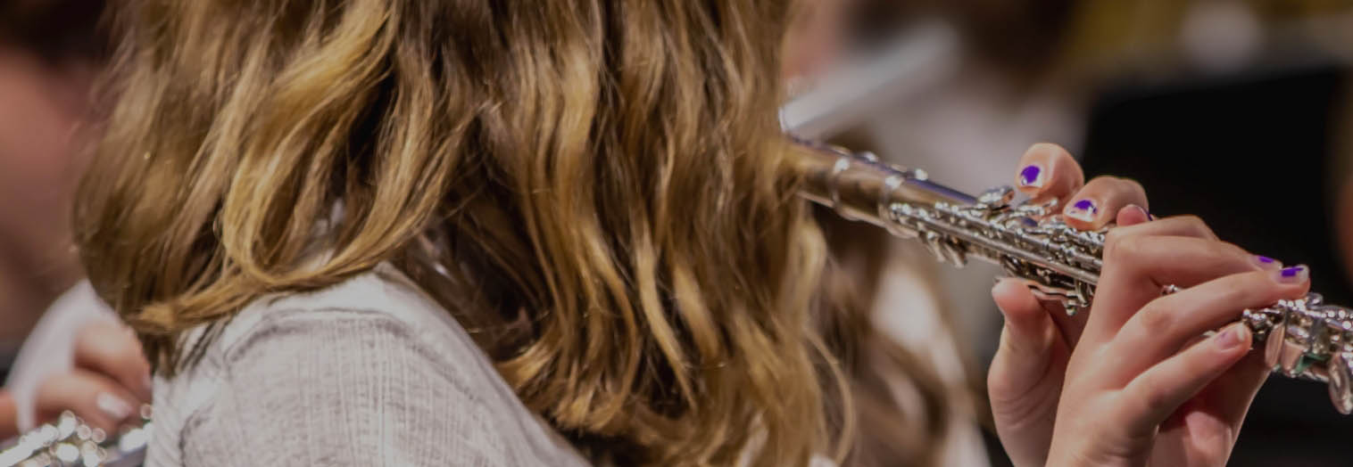 Develops software to transform how music is composed, taught, learned, and performed.