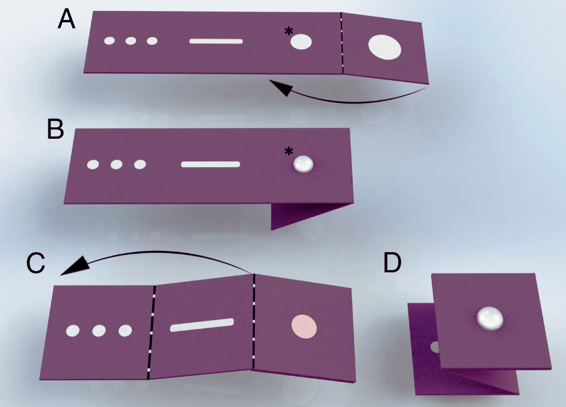 Escaping Synthetic Carcinogens: An Integration of Chemically-Based Testing Methods